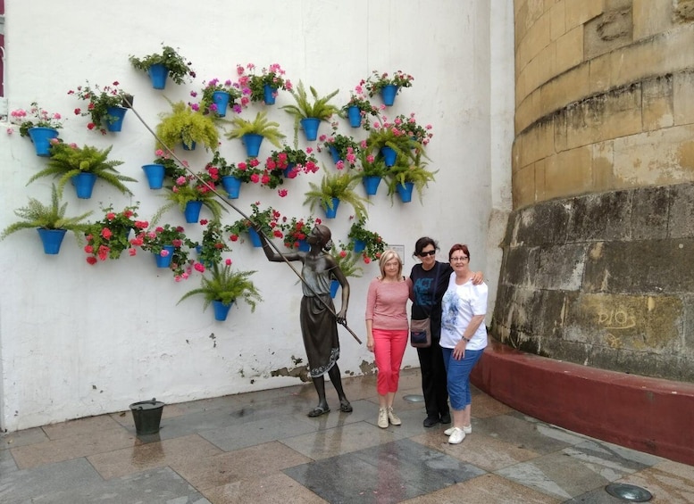 Picture 6 for Activity Córdoba Daily Highlights Bike Tour