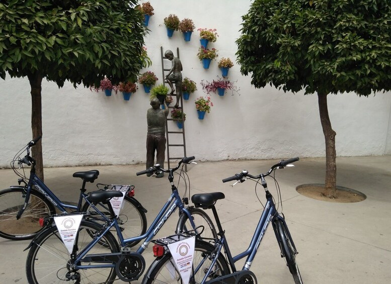 Picture 8 for Activity Córdoba Daily Highlights Bike Tour