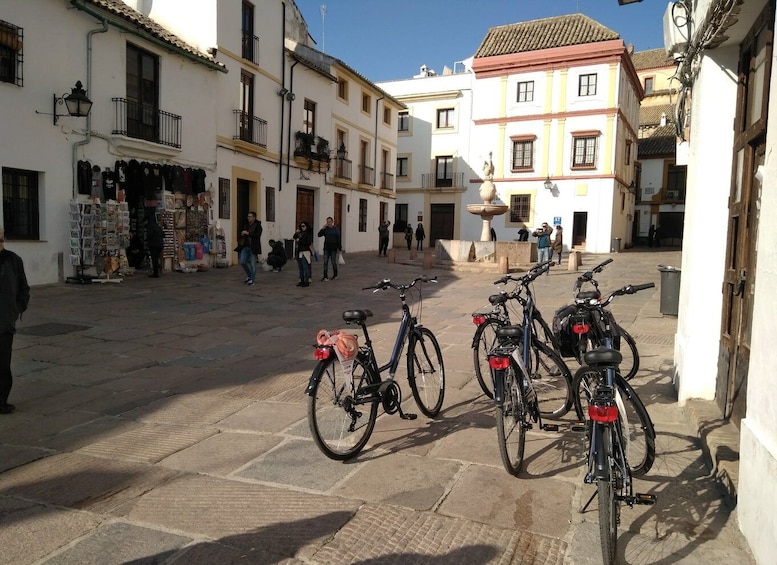 Picture 9 for Activity Córdoba Daily Highlights Bike Tour