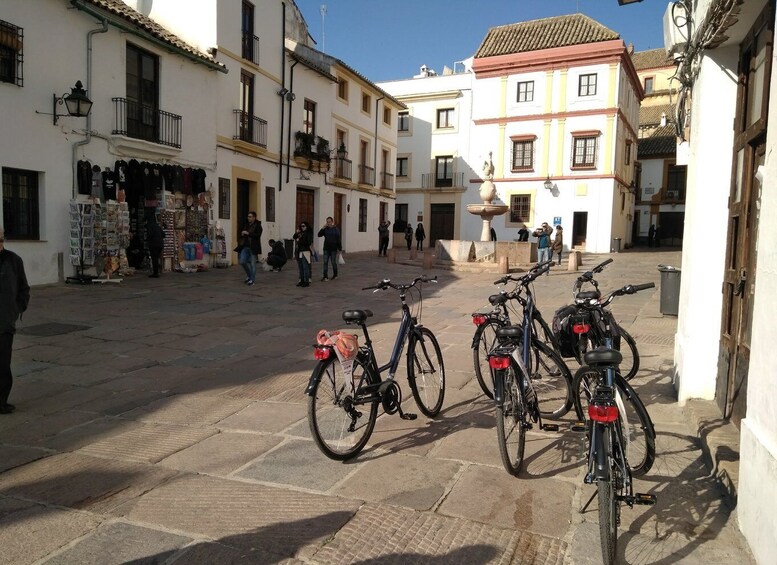 Picture 9 for Activity Córdoba Daily Highlights Bike Tour