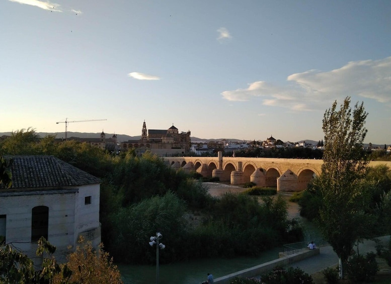 Picture 1 for Activity Córdoba Daily Highlights Bike Tour