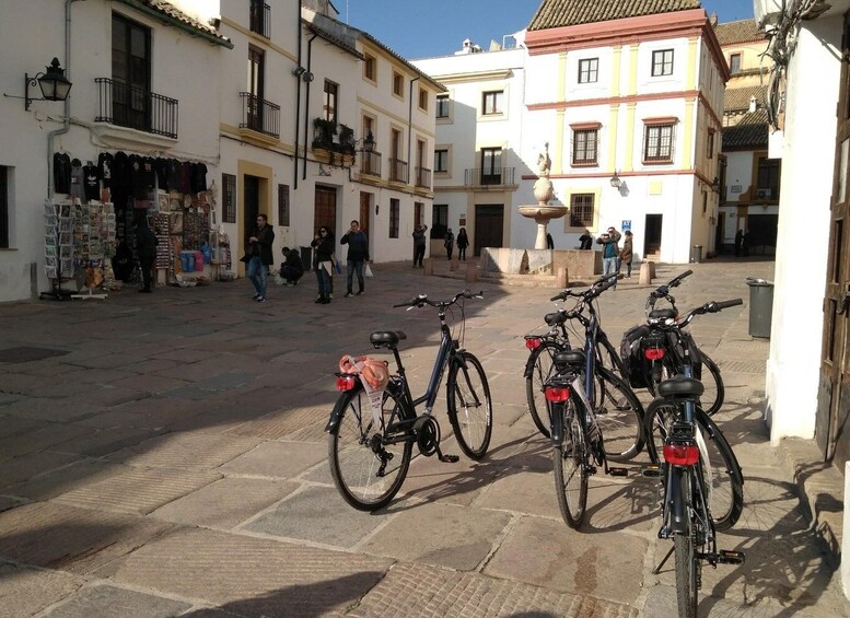 Picture 9 for Activity Córdoba Daily Highlights Bike Tour