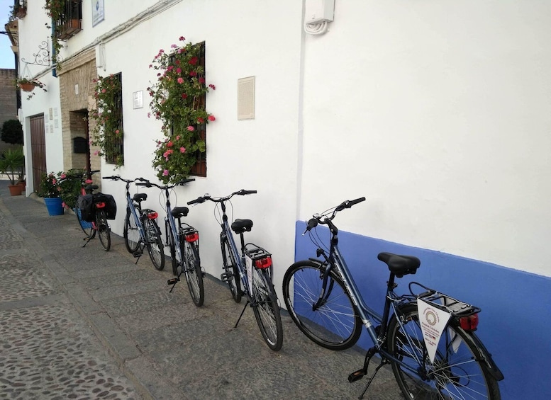 Picture 7 for Activity Córdoba Daily Highlights Bike Tour