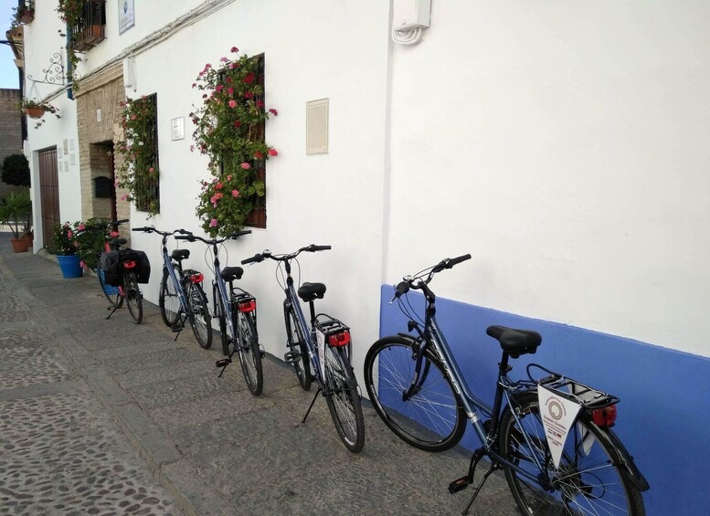 Picture 7 for Activity Córdoba Daily Highlights Bike Tour