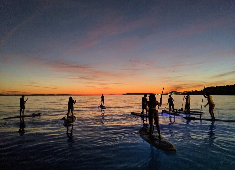 Picture 11 for Activity Split: Stand Up Paddleboard Night Glow Tour