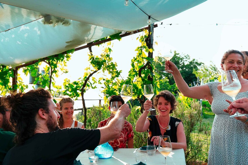 Picture 11 for Activity Trieste: 2.5-Hour Prosecco Origins Tour and Tastings