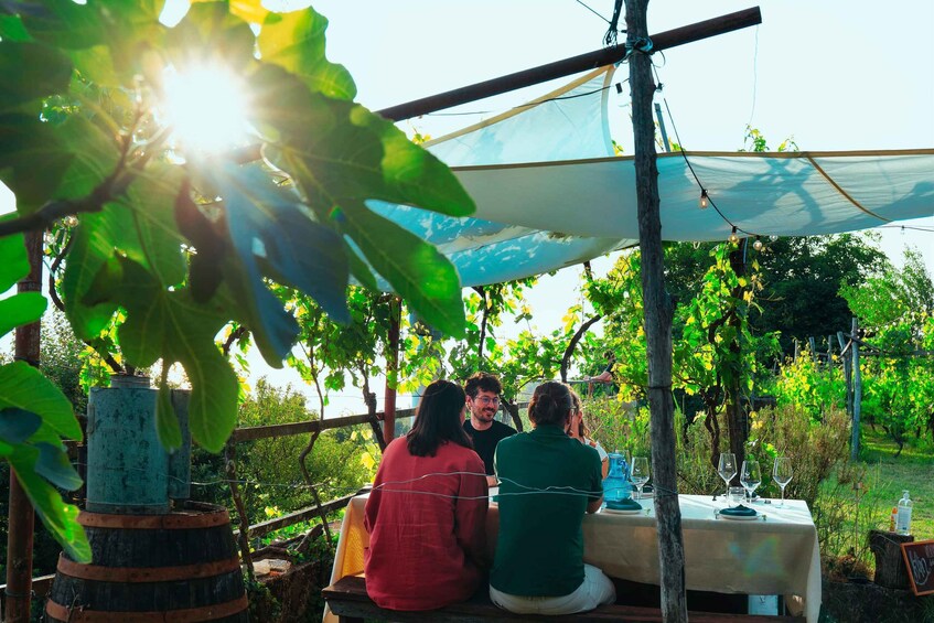 Picture 9 for Activity Trieste: 2.5-Hour Prosecco Origins Tour and Tastings