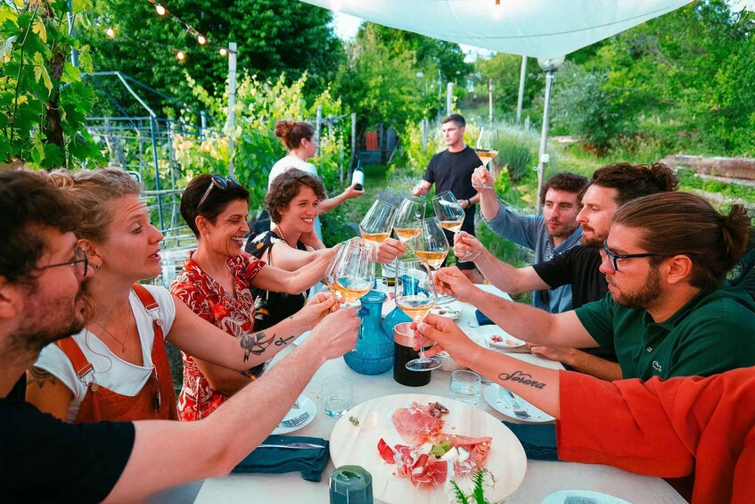 Picture 25 for Activity Trieste: 2.5-Hour Prosecco Origins Tour and Tastings