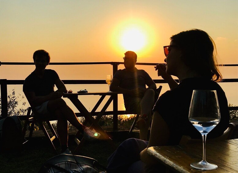 Picture 13 for Activity Trieste: 2.5-Hour Prosecco Origins Tour and Tastings