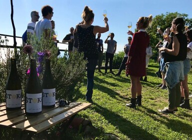 Trieste: 2,5 timmars rundtur och provsmakning av Proseccos ursprung