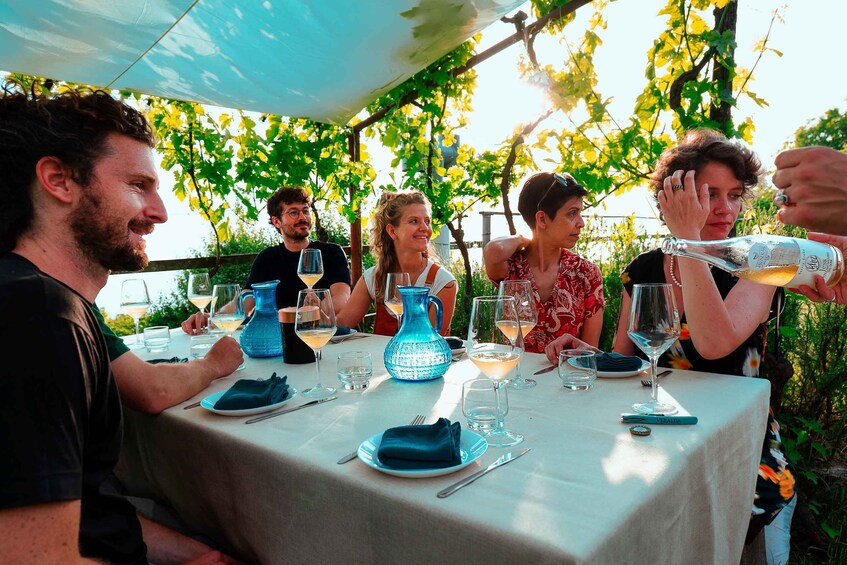 Picture 10 for Activity Trieste: 2.5-Hour Prosecco Origins Tour and Tastings