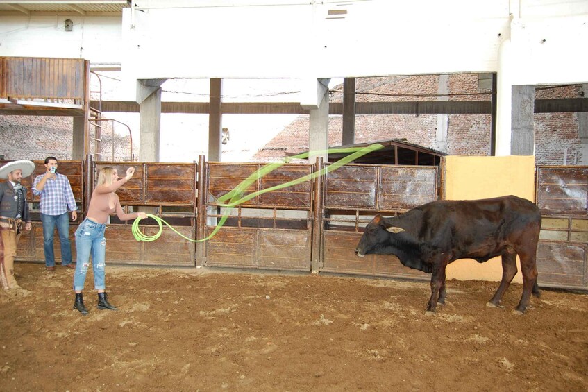 Picture 4 for Activity Guadalajara: Mexican Charro and Charreada Cultural Tour