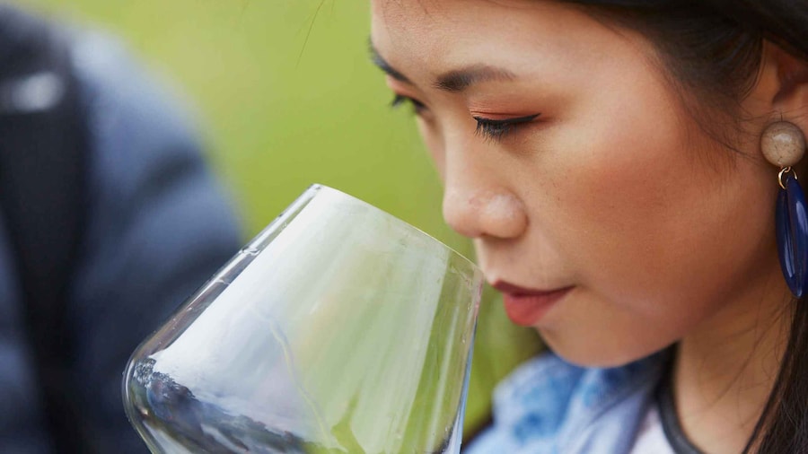 Margaret River: Full-Day Wine Tour