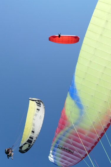 Picture 1 for Activity Zell am See: Schmittenhöhe Tandem Paragliding Flight