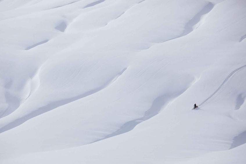 Picture 10 for Activity Jackson Hole: Turpin Meadow Snowmobile Tour