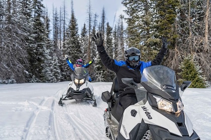 Jackson Hole : Tour de Turpin Meadow motoneige