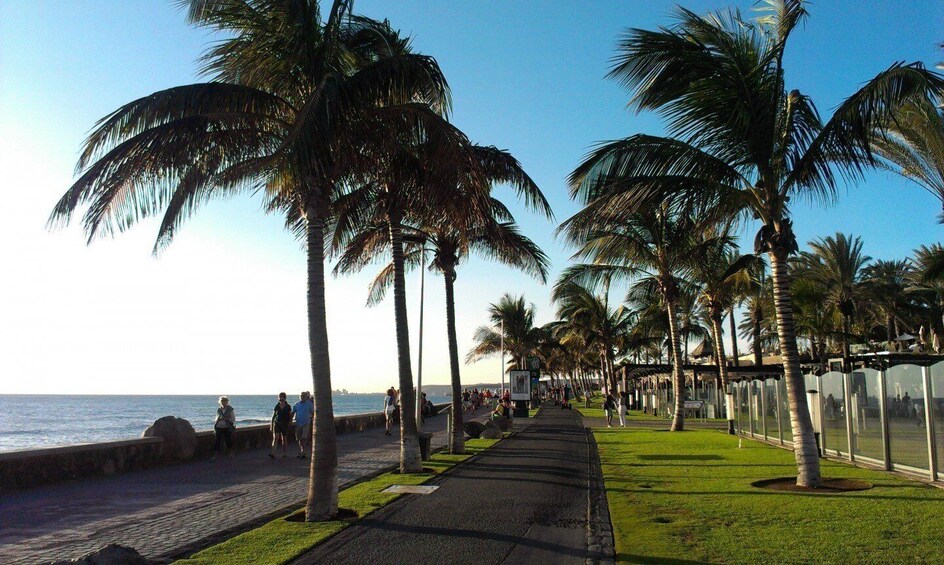 Picture 6 for Activity Maspalomas: Rent City Bike optional Baby Seat or Child Bike