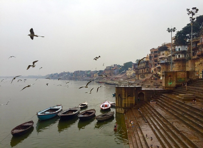 Private Full-Day Varanasi Tour & Monkey Temple