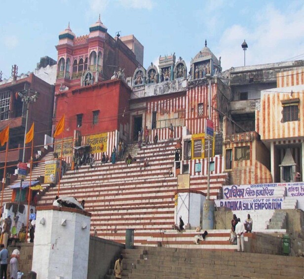 Picture 3 for Activity Private Full-Day Varanasi Tour & Monkey Temple