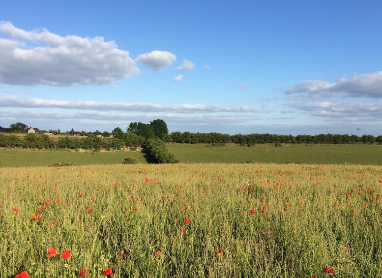 Picture 4 for Activity From Oxford: Cotswolds Towns and Villages Small Group Tour