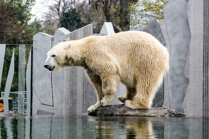 Wien: Zoo mit privaten flexiblen Transfers und Tickets