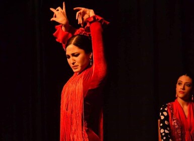 セビリア：フラメンコ ダンス レッスン (オプションの衣装付き)