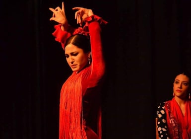 Siviglia: lezione di ballo flamenco con costume opzionale