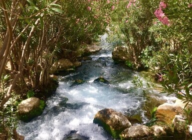 Depuis Benidorm : Après-midi aux cascades d'Algar