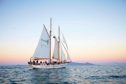 Airlie Beach Whitsundays Tallship Vela al atardecer con bebida