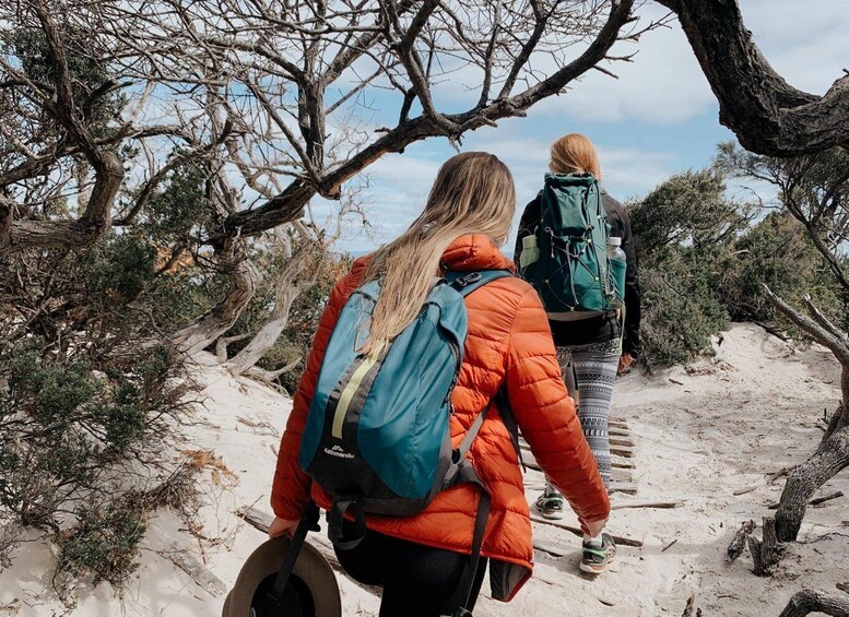 Picture 4 for Activity Freycinet: 5.5-Hr Small Group Guided Walking Experience