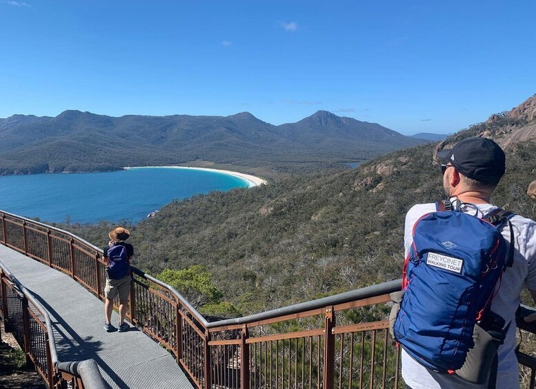 Picture 16 for Activity Freycinet: 5.5-Hr Small Group Guided Walk + Boat Experience