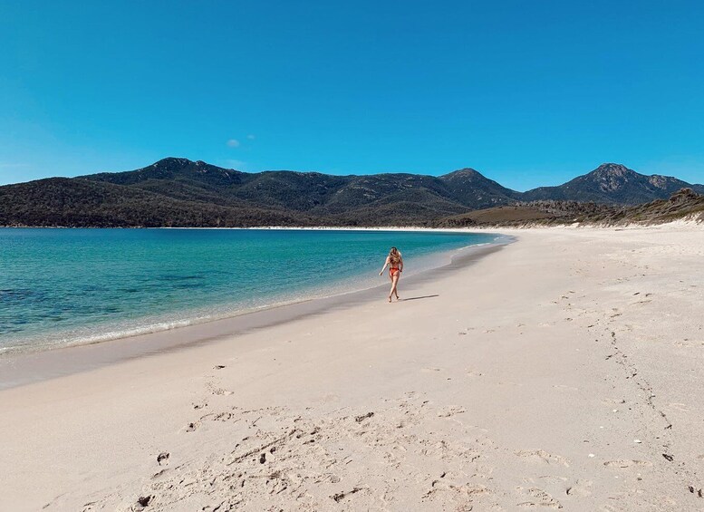 Picture 4 for Activity Freycinet: 5.5-Hr Small Group Guided Walk + Boat Experience