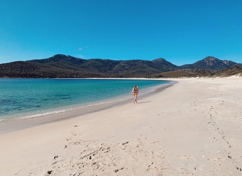 Picture 4 for Activity Freycinet: 5.5-Hr Small Group Guided Walk + Boat Experience