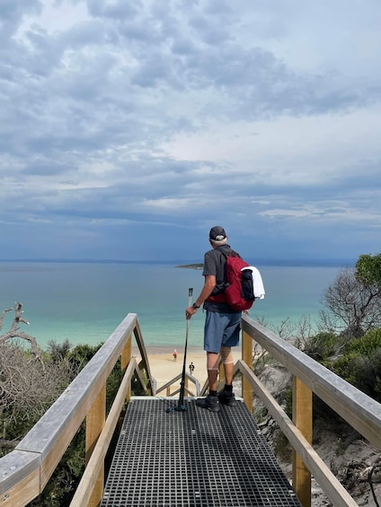Picture 15 for Activity Freycinet: 5.5-Hr Small Group Guided Walking Experience