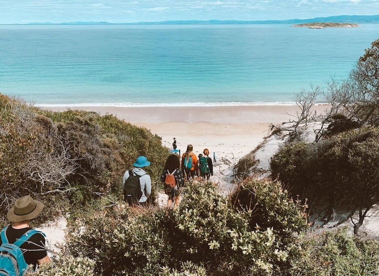 Picture 3 for Activity Freycinet: 5.5-Hr Small Group Guided Walking Experience
