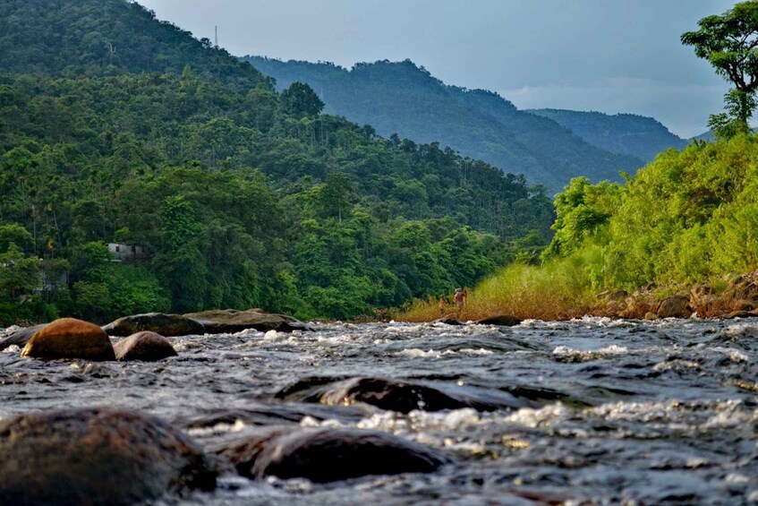 Picture 2 for Activity Sylhet: Ratargul Swamp Forest and Bisnakhandi Day Tour