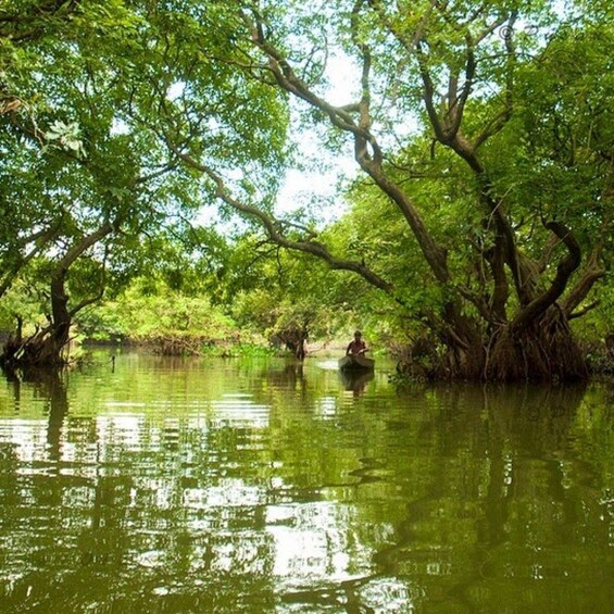 Picture 4 for Activity Sylhet: Ratargul Swamp Forest and Bisnakhandi Day Tour