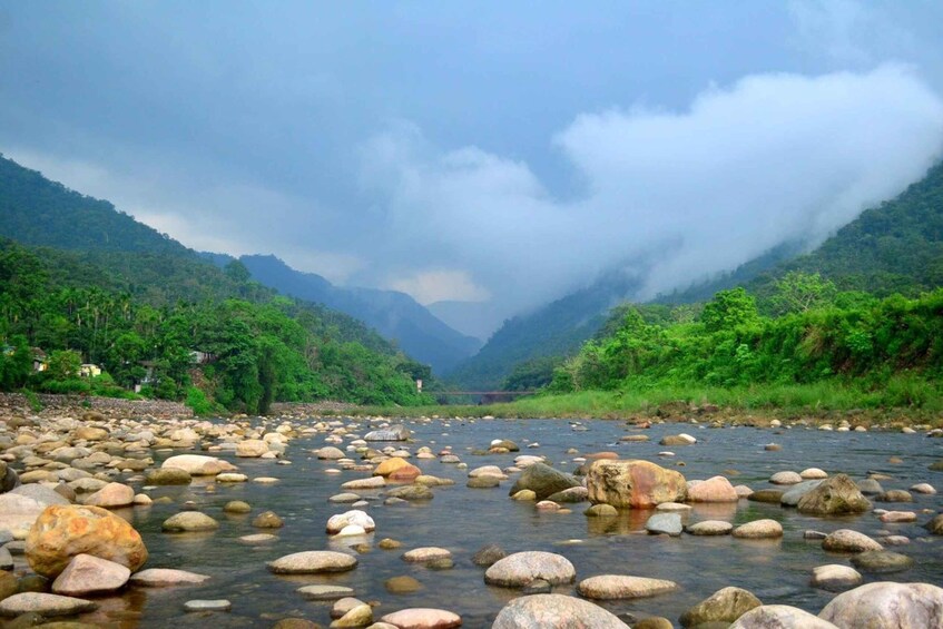 Sylhet: Ratargul Swamp Forest and Bisnakhandi Day Tour