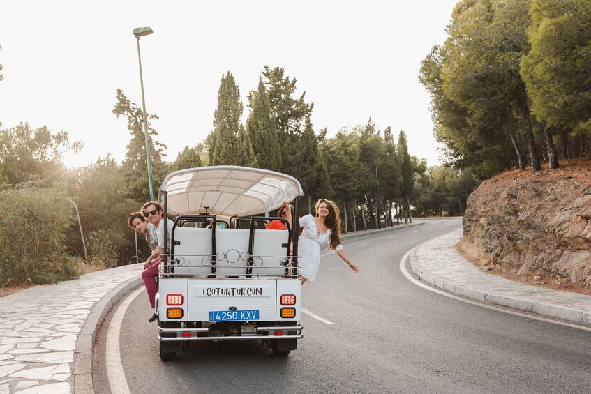 Picture 9 for Activity Malaga: Private City Tour by Eco Tuk Tuk