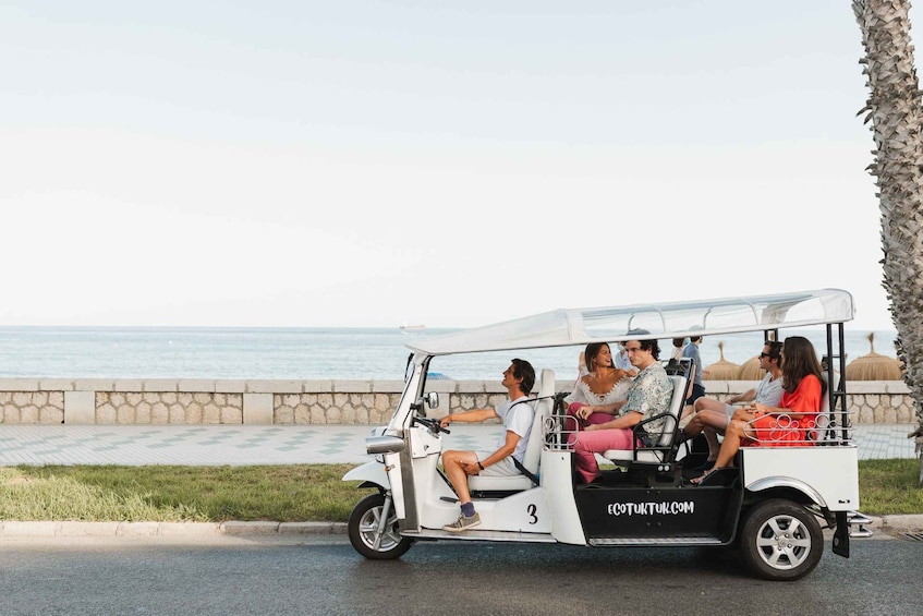 Picture 2 for Activity Malaga: City Tour by Electric Tuk-Tuk