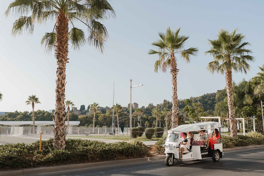 Picture 4 for Activity Malaga: Private City Tour by Eco Tuk Tuk