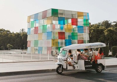 Malaga: Yksityinen kaupunkikierros Eco Tuk Tukilla