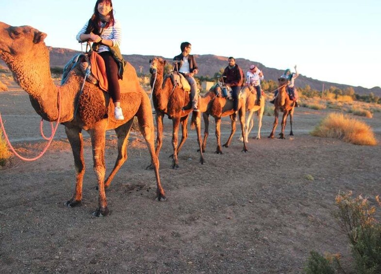 Picture 13 for Activity Agadir/Taghazout/Port: Camel Ride Tea & BBQ Option