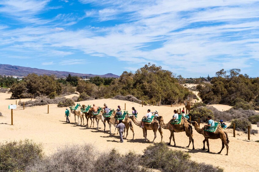 Picture 4 for Activity Agadir/Taghazout/Port: Camel Ride Tea & BBQ Option