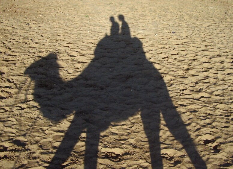 Picture 10 for Activity Agadir/Taghazout/Port: Camel Ride Tea & BBQ Option