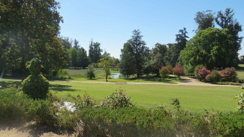 Von Santiago aus: Concha y Toro Winery Tour mit Transfer