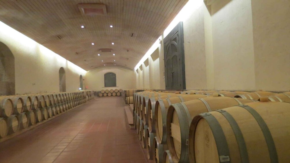 Picture 1 for Activity From Santiago: Concha y Toro Winery Tour with Transfer