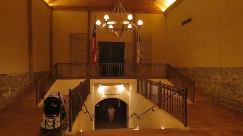 Picture 7 for Activity From Santiago: Concha y Toro Winery Tour with Transfer