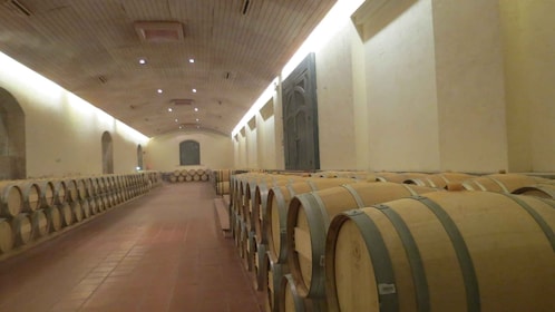 Desde Santiago: Tour Viña Concha y Toro con Traslado