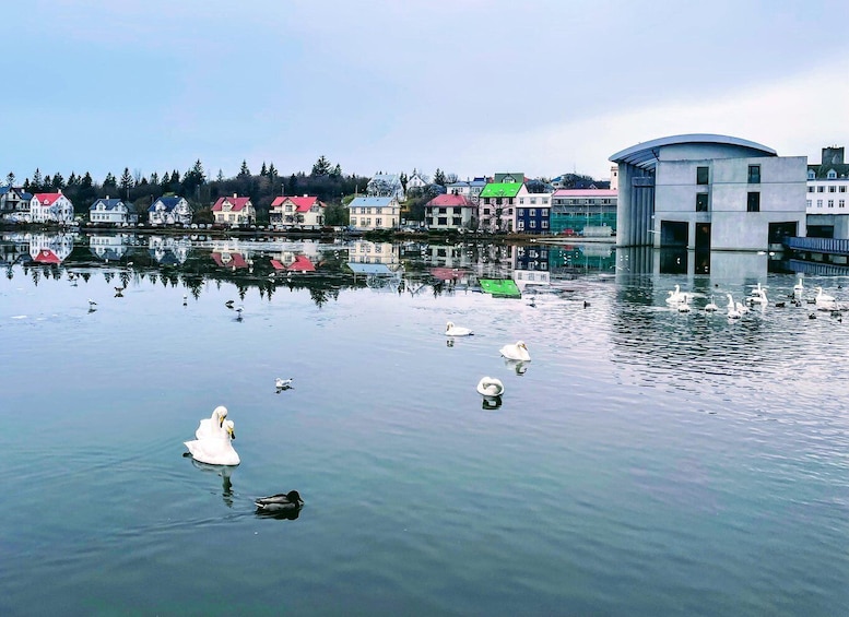 Picture 3 for Activity Reykjavik: City Walking tour in Small Group with Local Guide